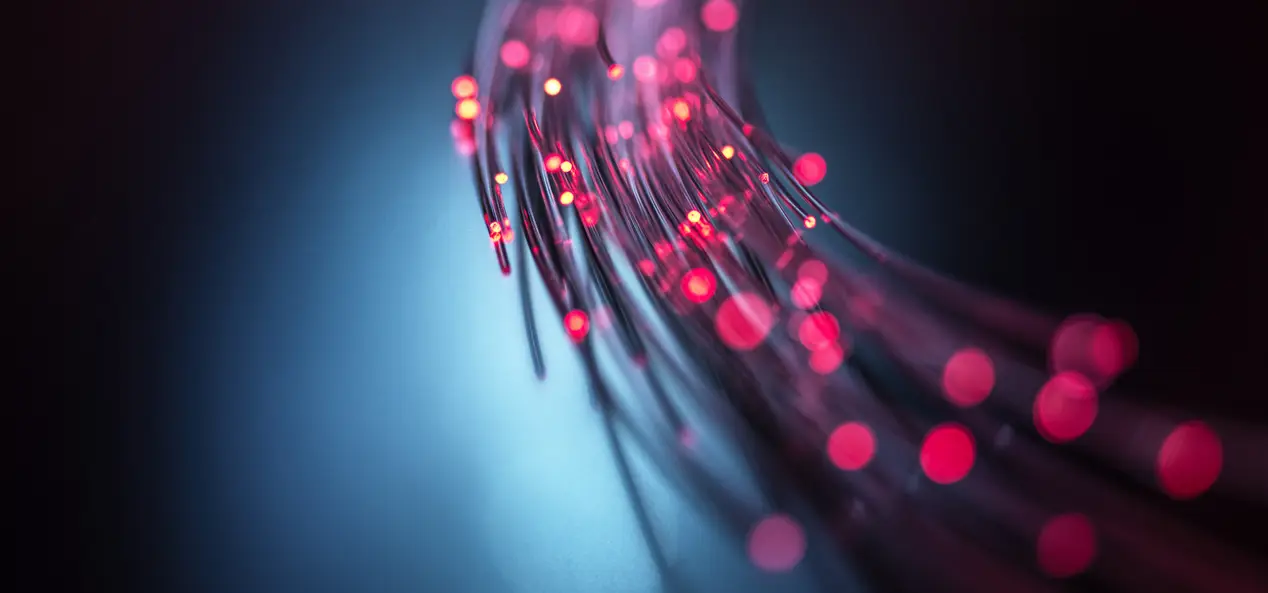 City Net